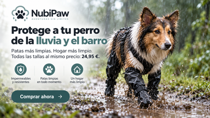 NubiPaw: perro con protectores altos de patas durante un paseo con lluvia